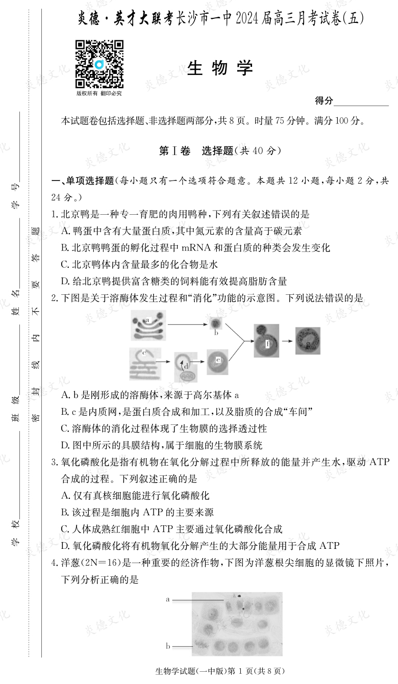 [生物]炎德英才大聯考2024屆長沙市一中高三5次月考